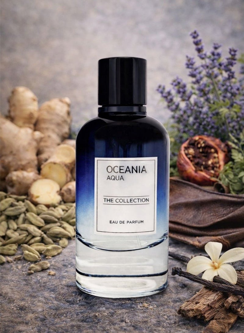 Orchid Oceania Aqua Pour Homme Eau de Parfum 100ml for Men | Long Lasting Fresh Spicy Woody Perfume with Ginger, Cardamom & Lavender | Leather, Vanilla & Woody Base Notes - Image 2